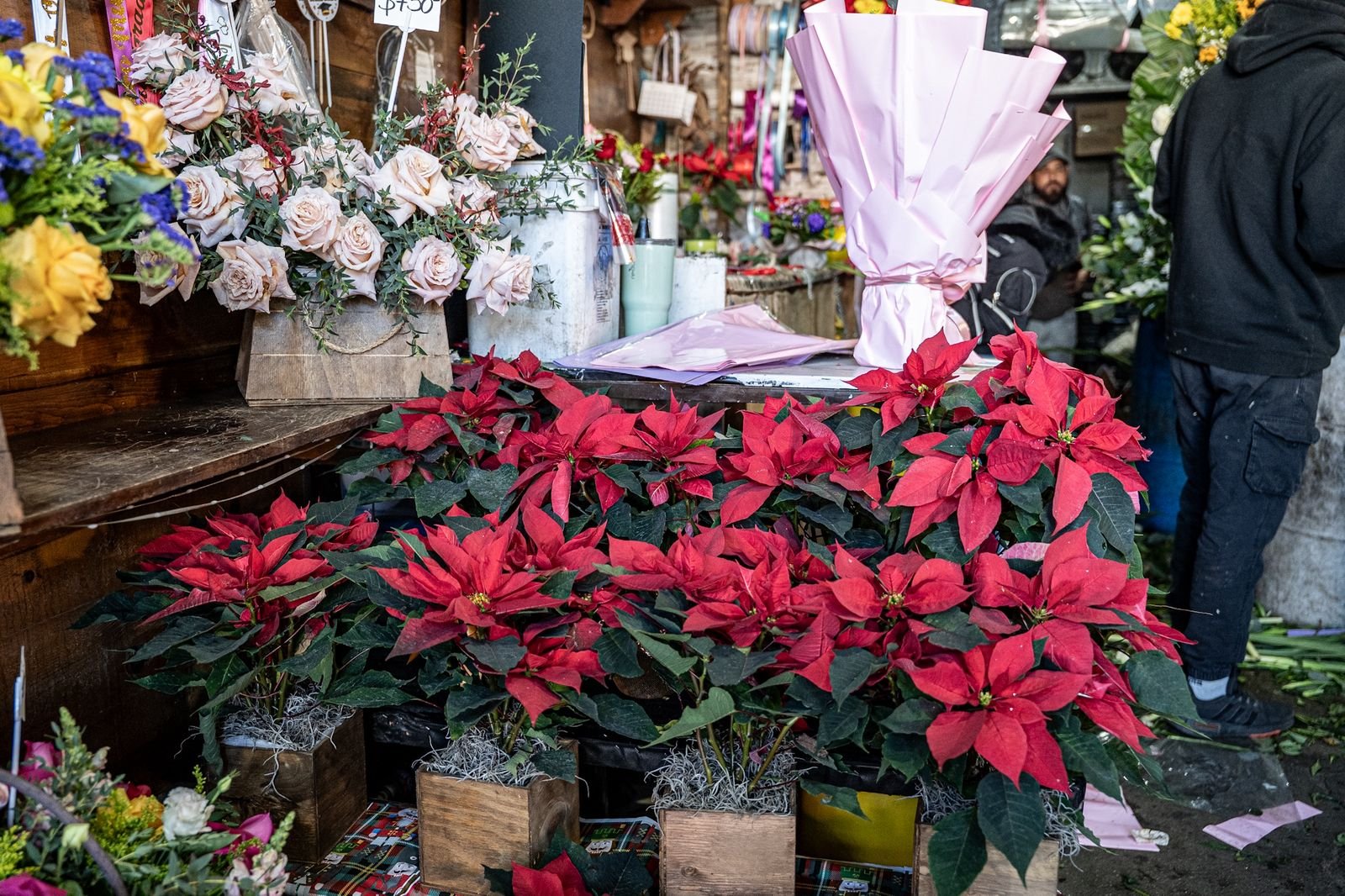 Imagen de WhatsApp 2025-12-05 a las 17.52.07_11bdd3c7