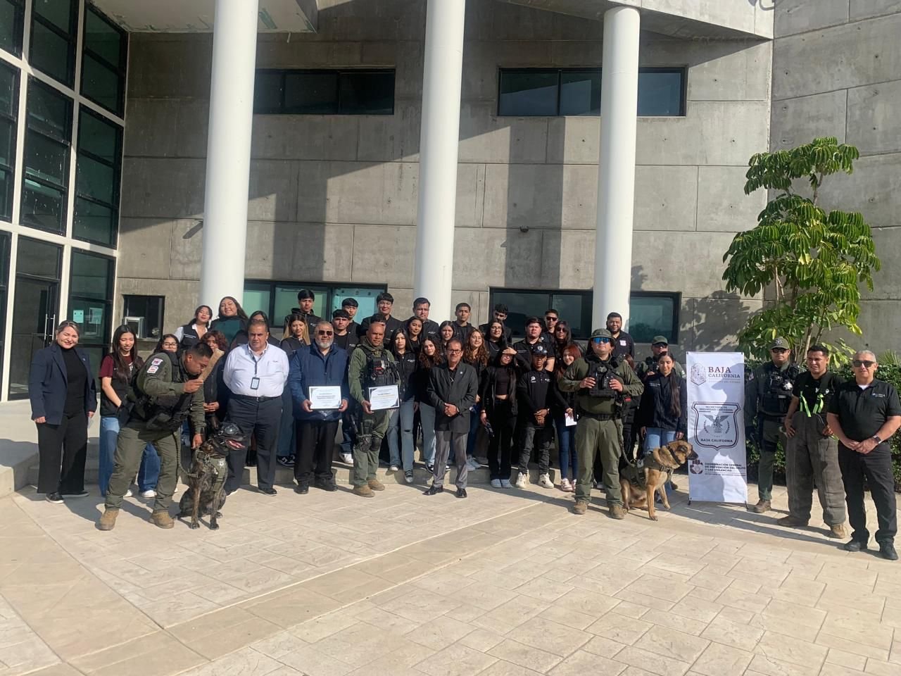 Imagen de WhatsApp 2025-12-06 a las 09.44.05_32c41ef1