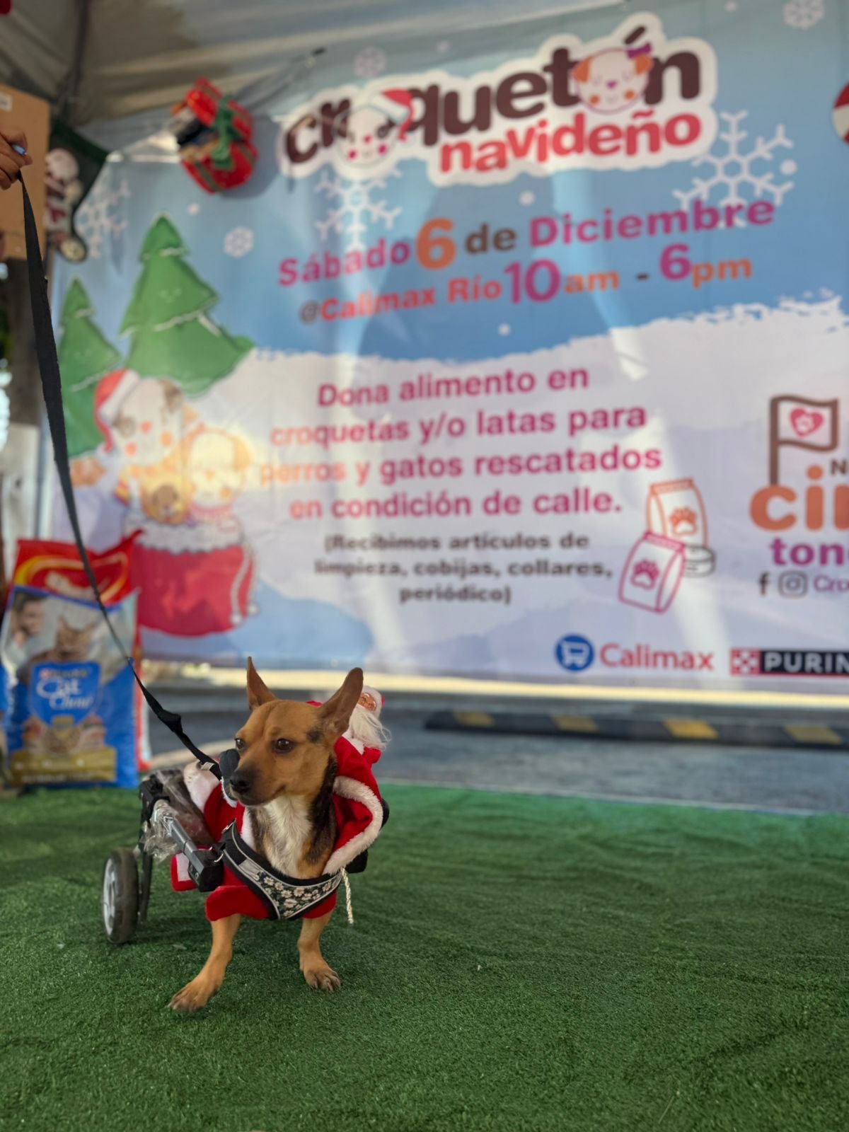 Imagen de WhatsApp 2025-12-08 a las 10.56.45_39ed2e9a