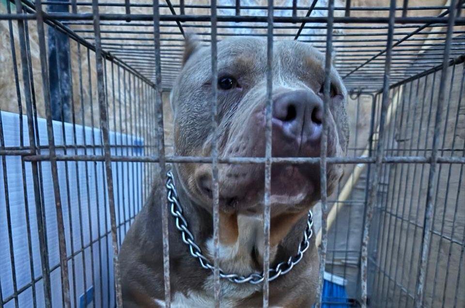 Imagen de WhatsApp 2025-12-09 a las 17.29.43_c70b5b92