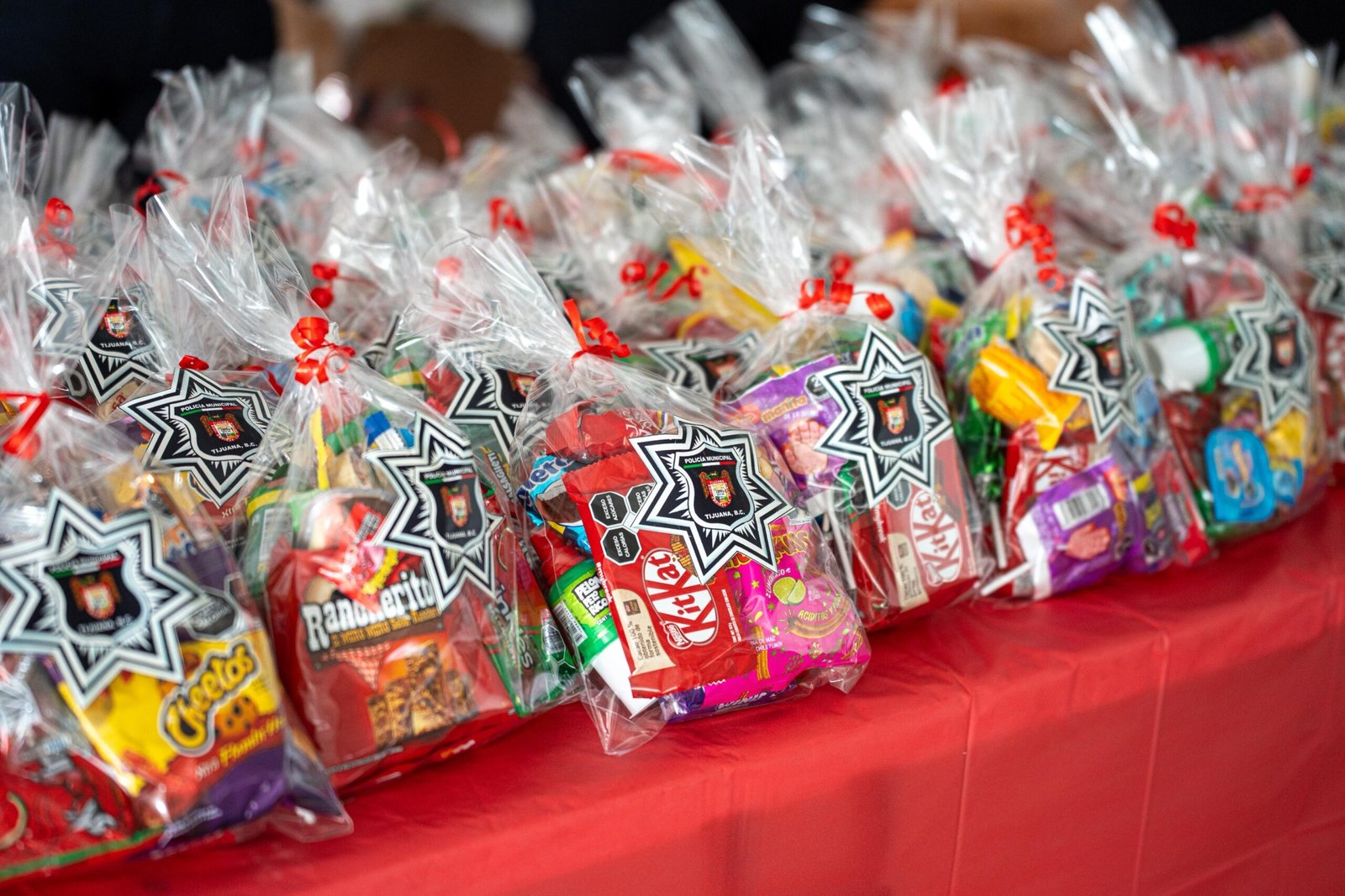 Imagen de WhatsApp 2025-12-13 a las 18.12.20_041815aa