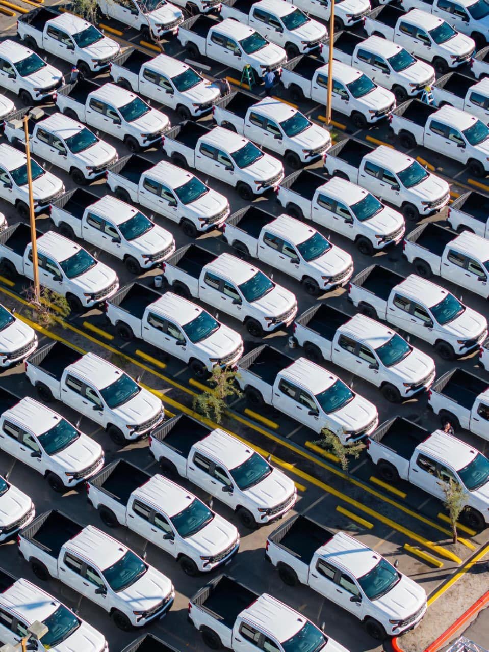 Imagen de WhatsApp 2025-12-14 a las 09.04.37_88a08b07