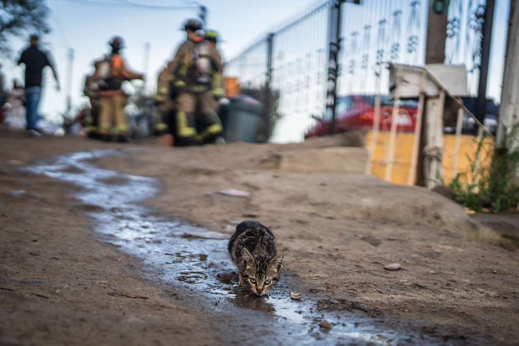 WhatsApp Image 2025-12-18 at 10.07454554.48 AM