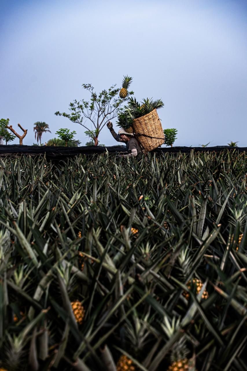 WhatsApp Image 2025-12-20 at 11.56.3777 AM