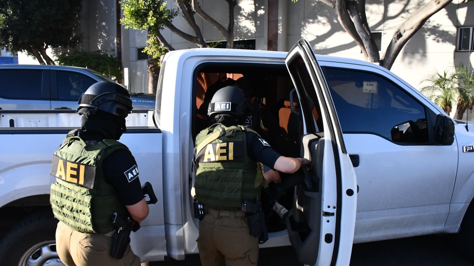 WhatsApp Image 2025-12-20 at 9.31.355 AM