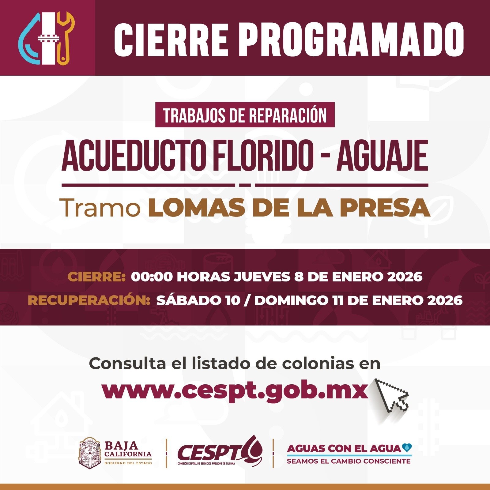 WhatsApp Image 2026-01-05 at 5.04.34 PM