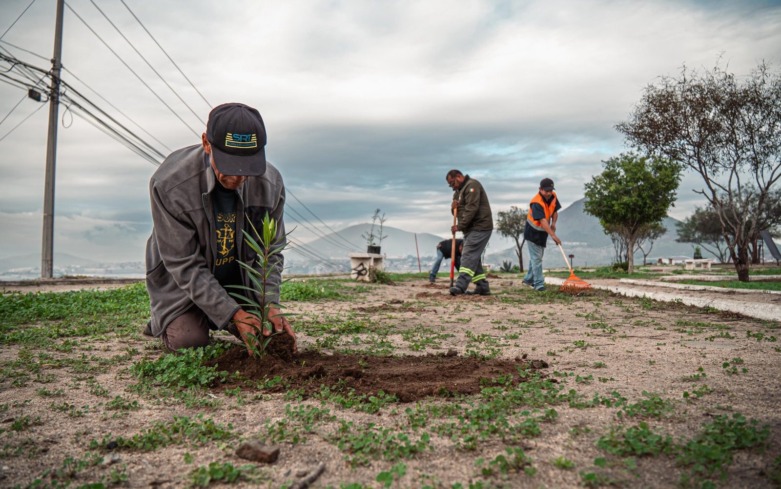 WhatsApp Image 2026-01-07 at 1.27.199 PM