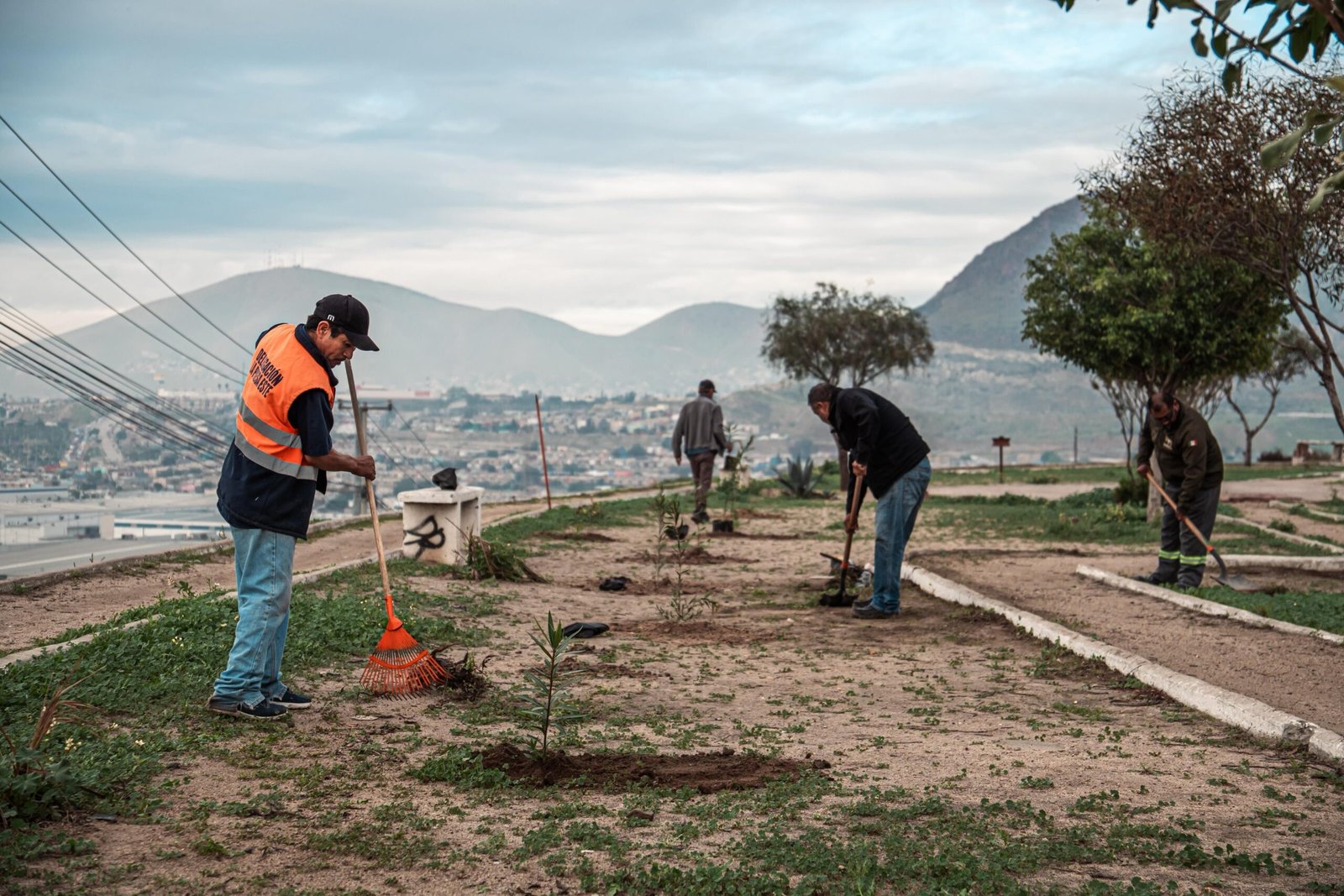 WhatsApp Image 2026-01-07 at 1.27.20 PM