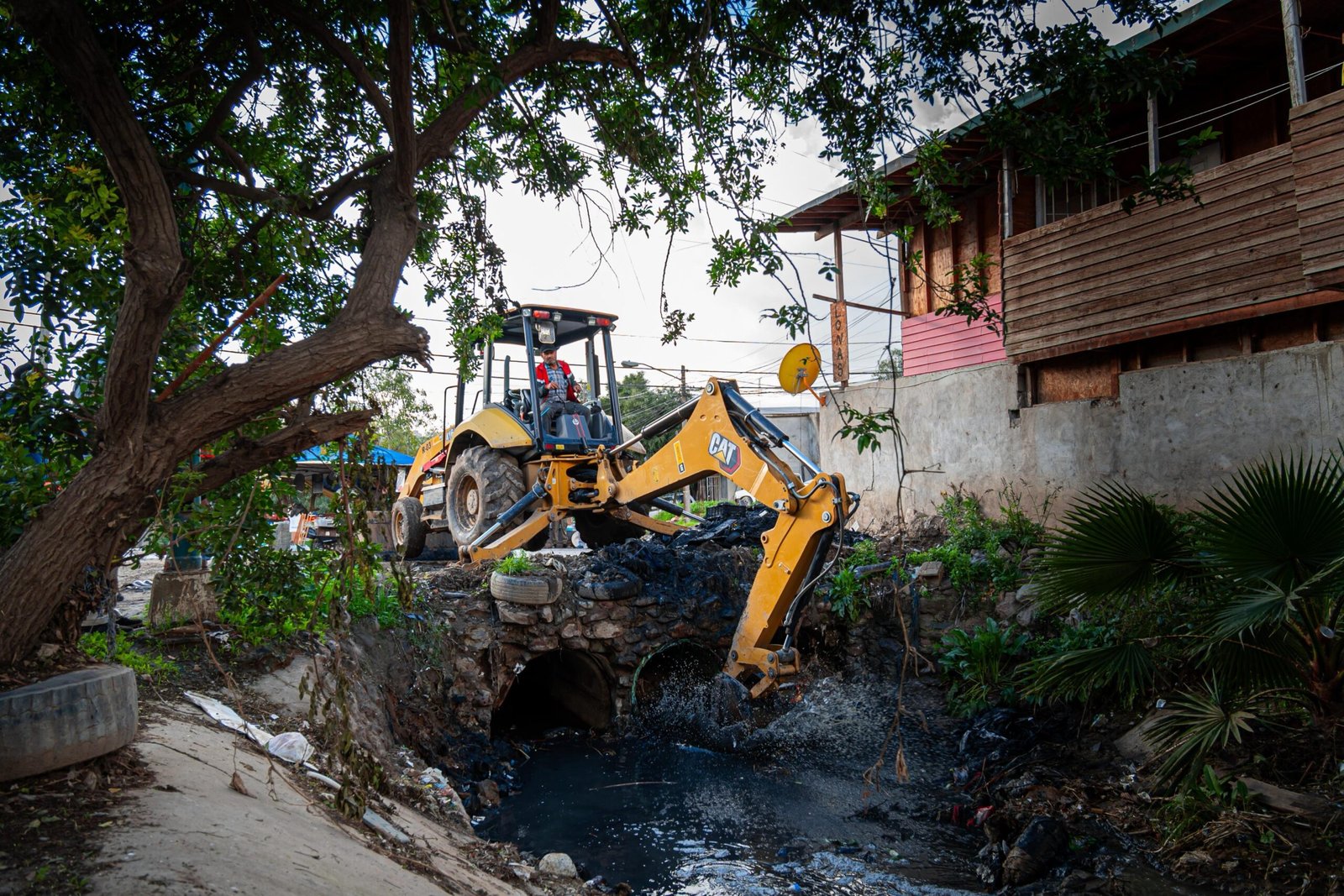 WhatsApp Image 2026-01-08 at 2.07.333 PM