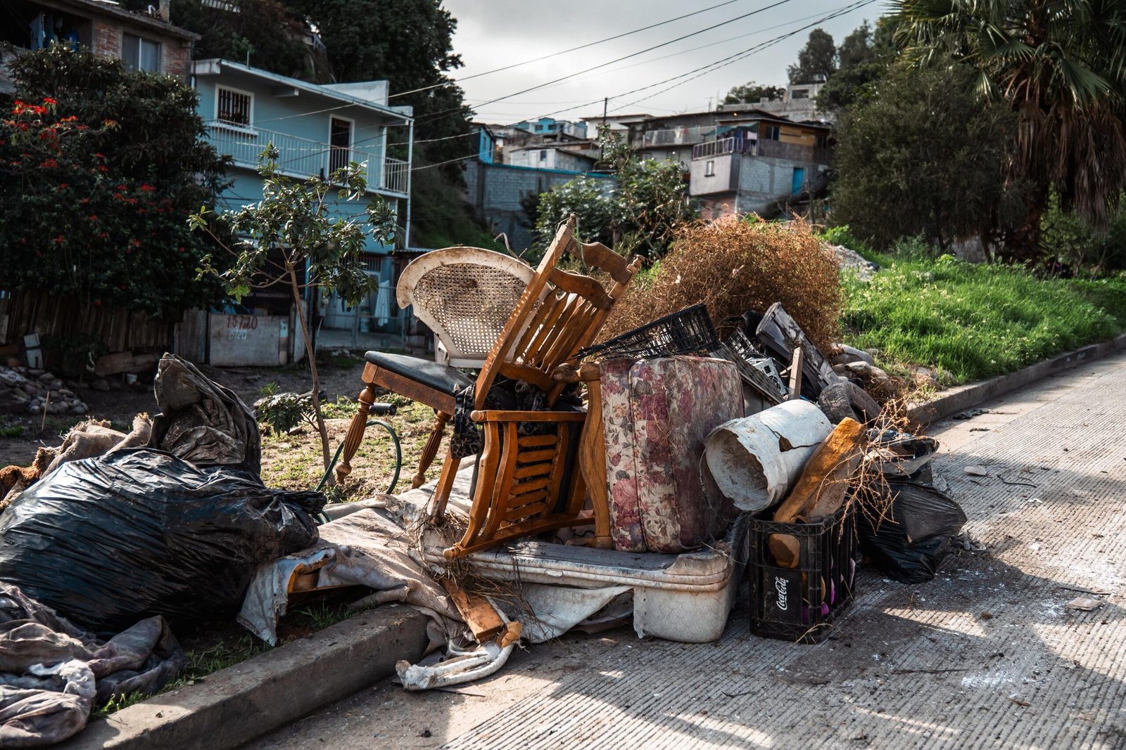 WhatsApp Image 2026-01-08 at 2.07.388 PM