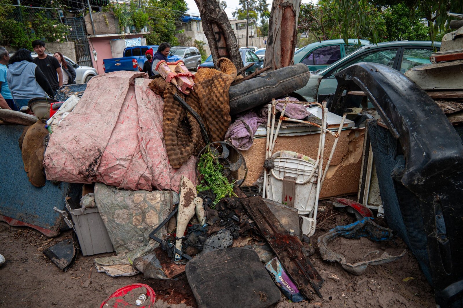 WhatsApp Image 2026-01-08 at 2.07.3888 PM