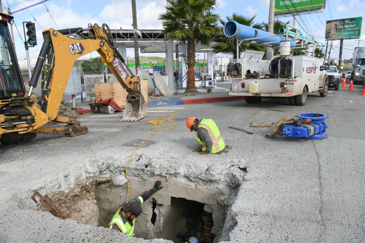 WhatsApp Image 2026-01-08 at 4.33.31 PM