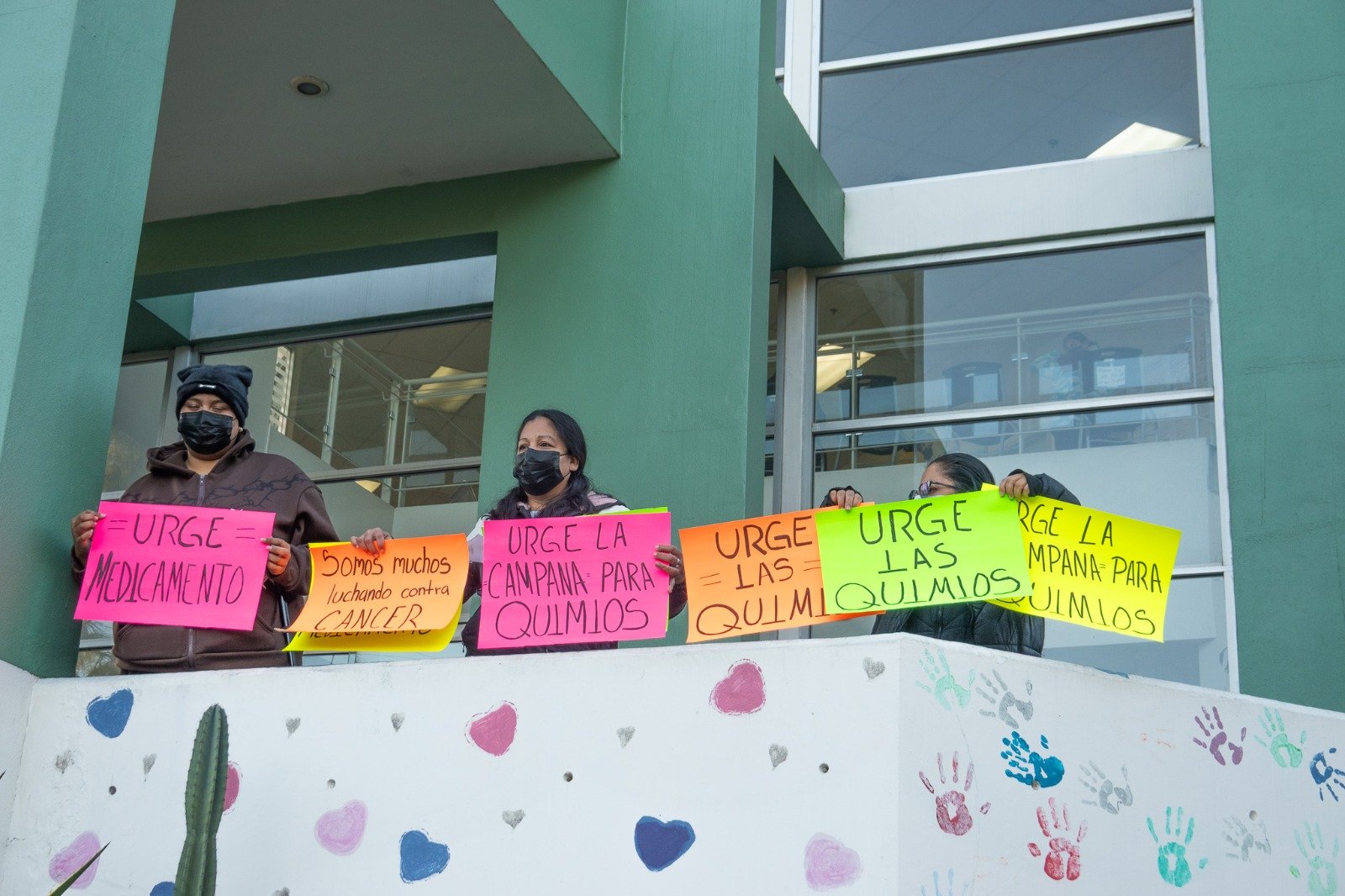 WhatsApp Image 2026-01-12 at 10.20.3444 AM