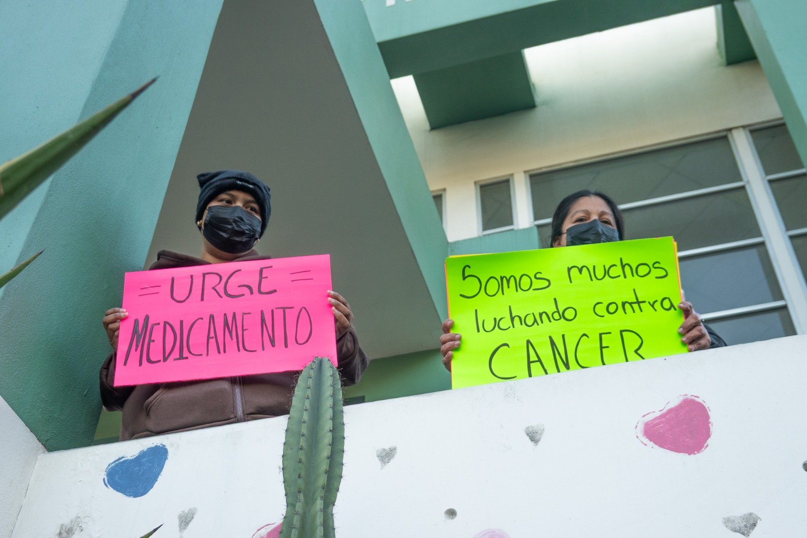 WhatsApp Image 2026-01-12 at 10.20.344444 AM