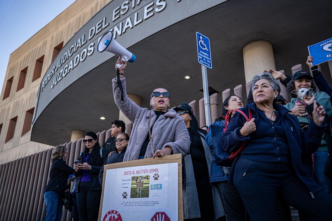 WhatsApp Image 2026-01-12 at 10.39.588 AM