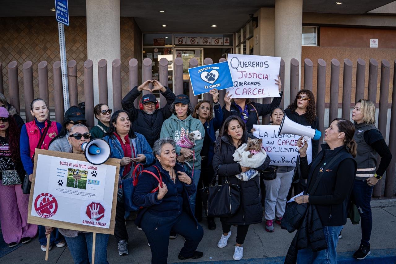 WhatsApp Image 2026-01-12 at 10.39.5888 AM