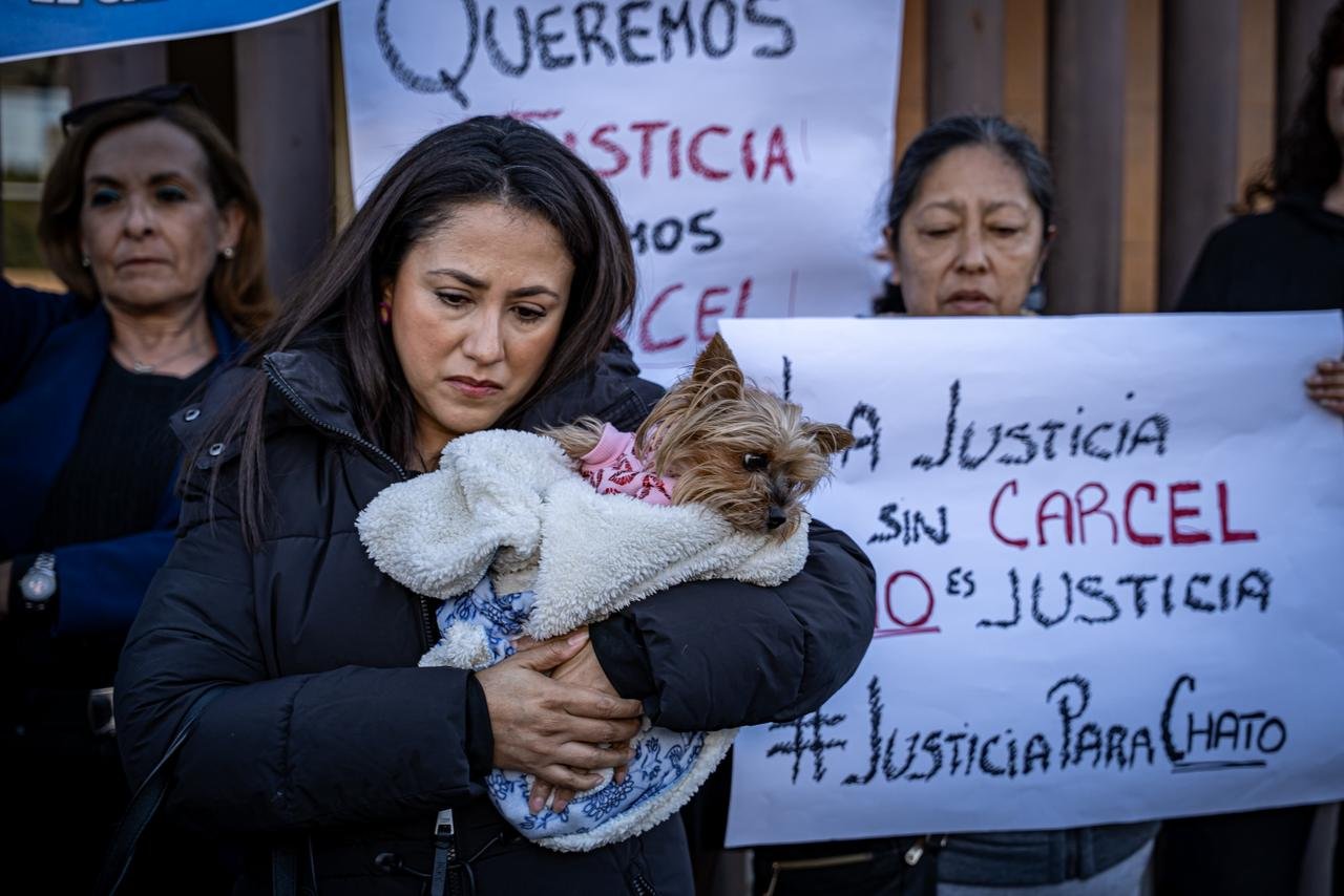 WhatsApp Image 2026-01-12 at 10.39.599 AM