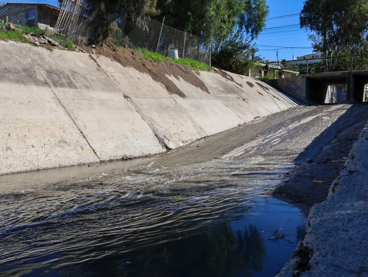 WhatsApp Image 2026-01-13 at 11.47.46666 AM