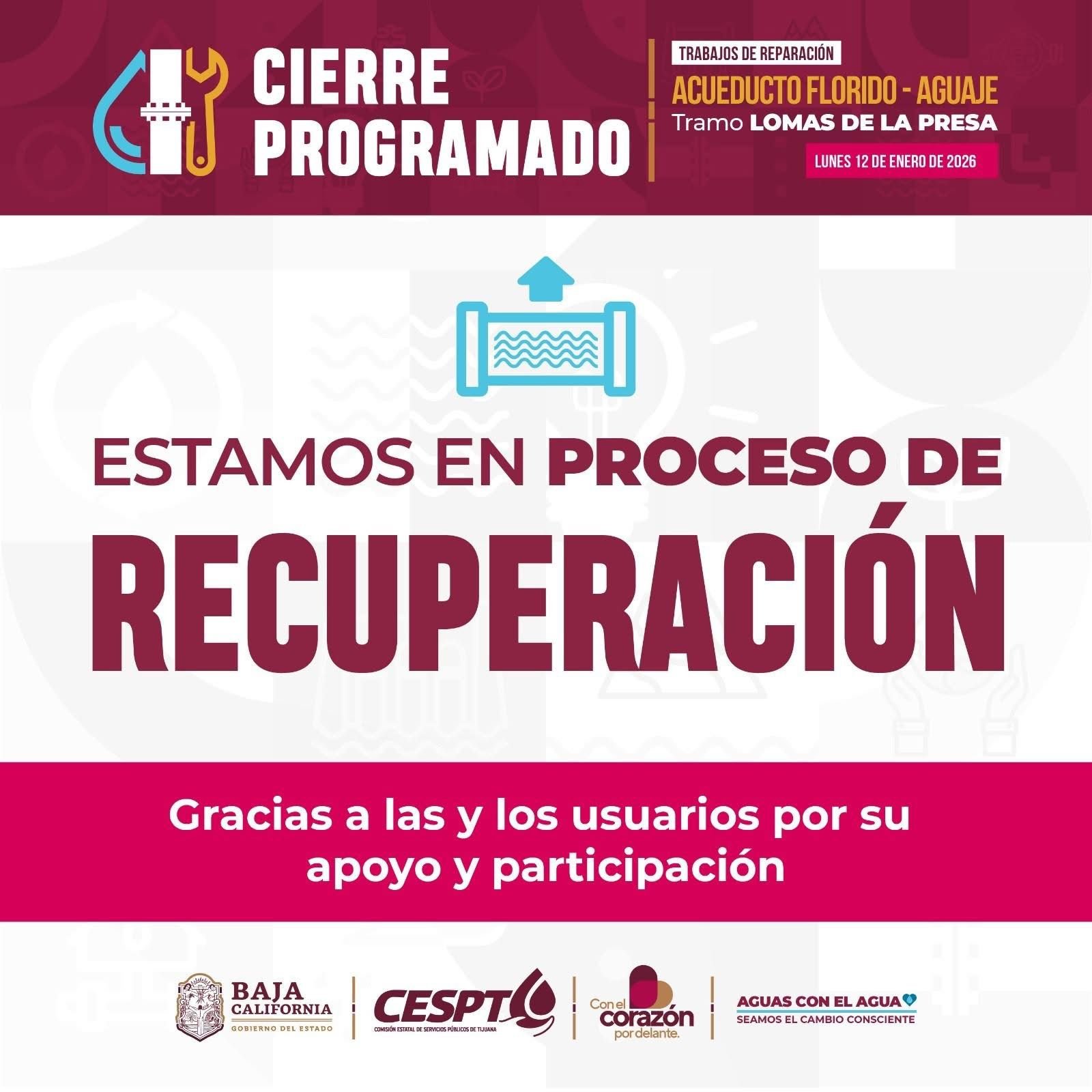 WhatsApp Image 2026-01-13 at 12.02.08 AM