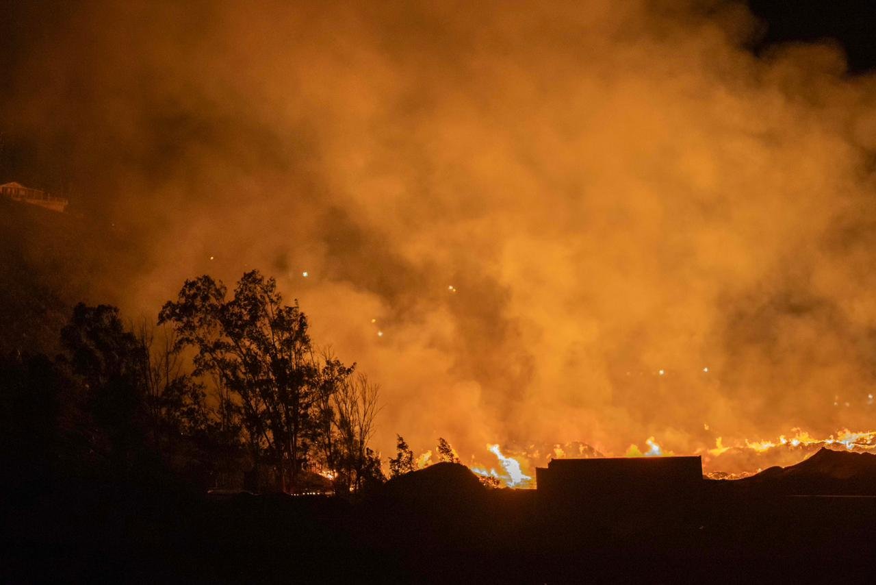 WhatsApp Image 2026-01-13 at 12.07.0999 AM