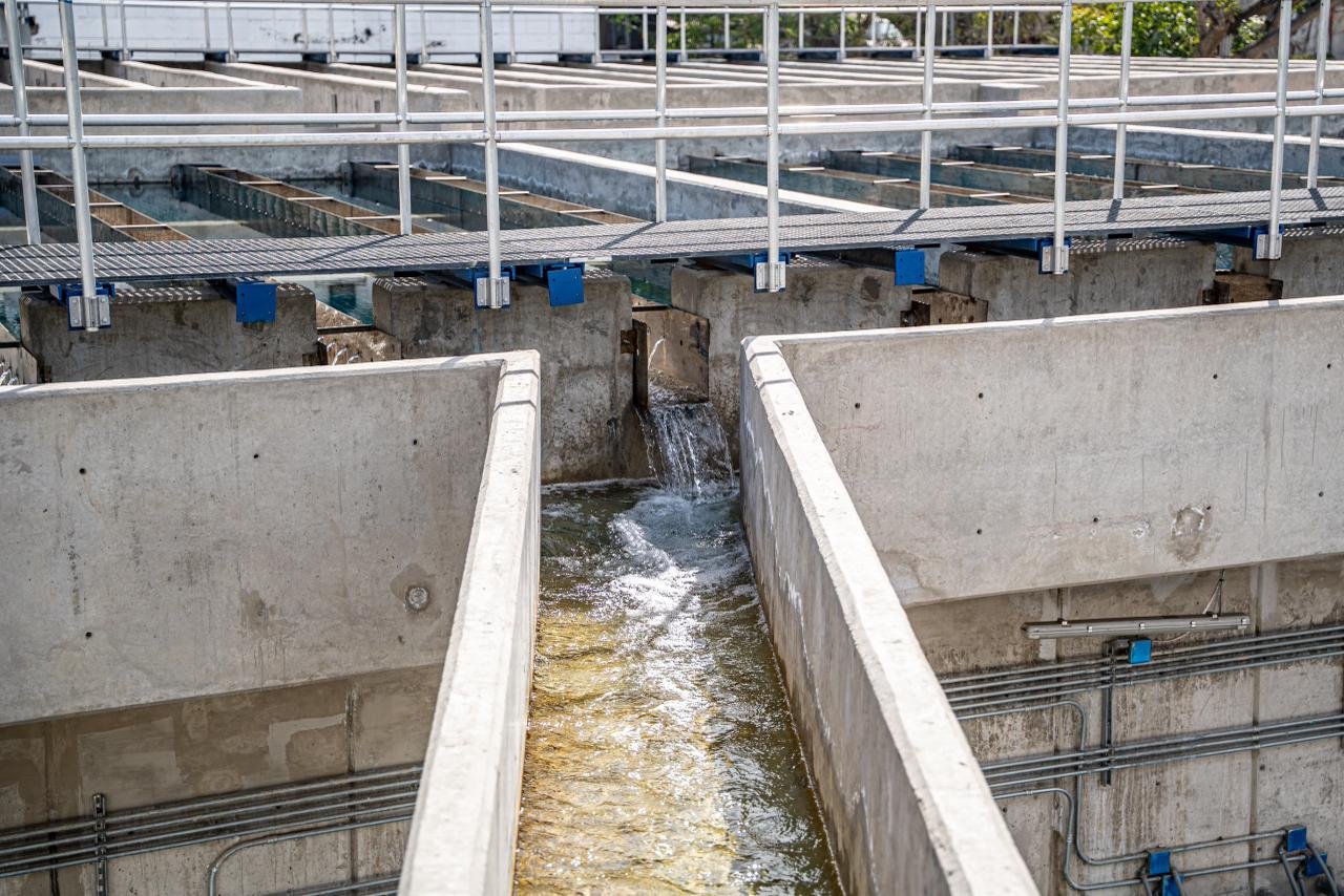 WhatsApp Image 2026-01-13 at 3.48.57 PM