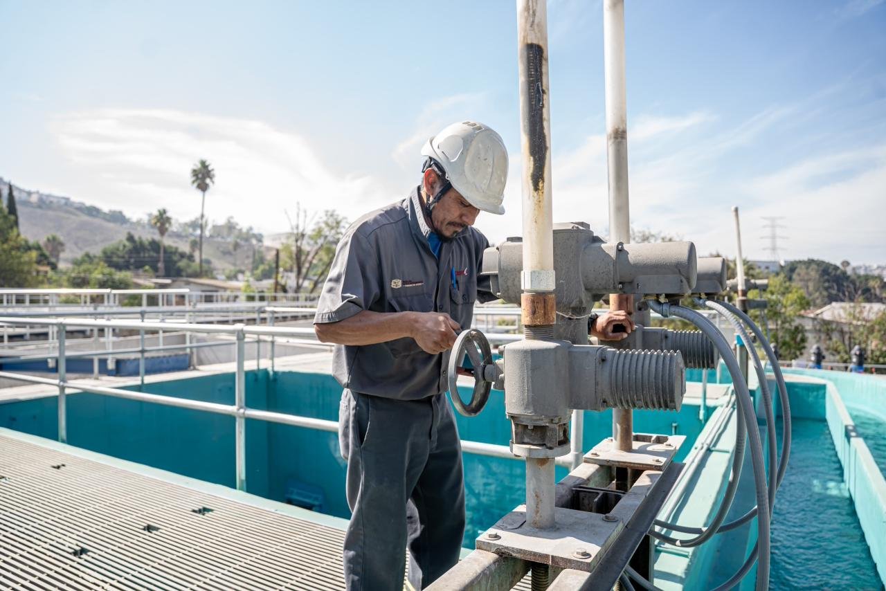 WhatsApp Image 2026-01-13 at 3.48.577 PM