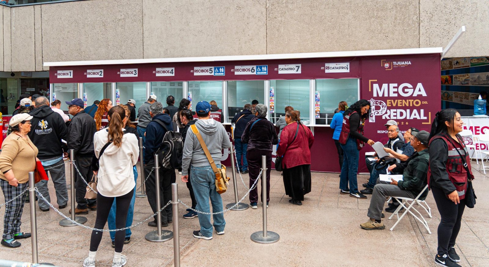 WhatsApp Image 2026-01-14 at 12.21.02 PM