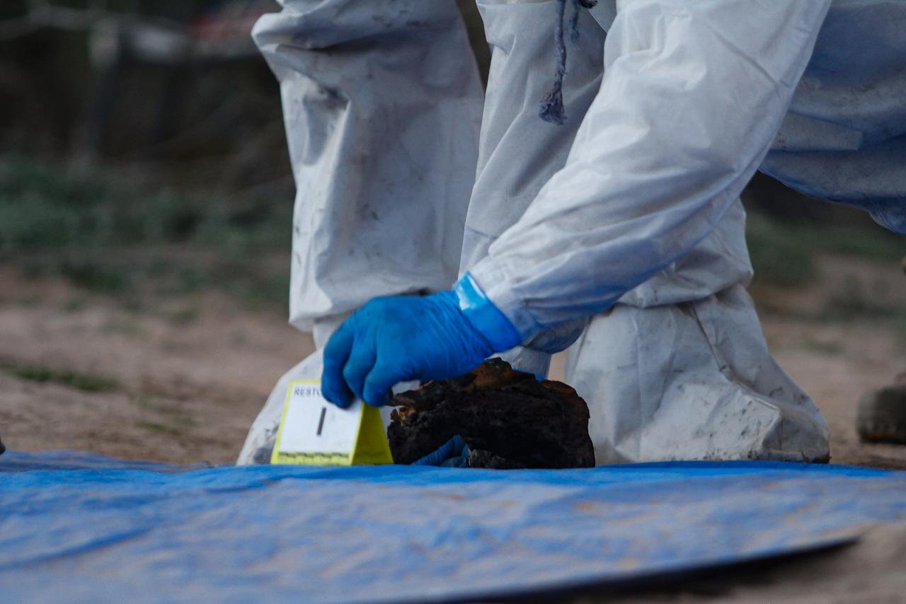 WhatsApp Image 2026-01-14 at 9.17.288888 PM