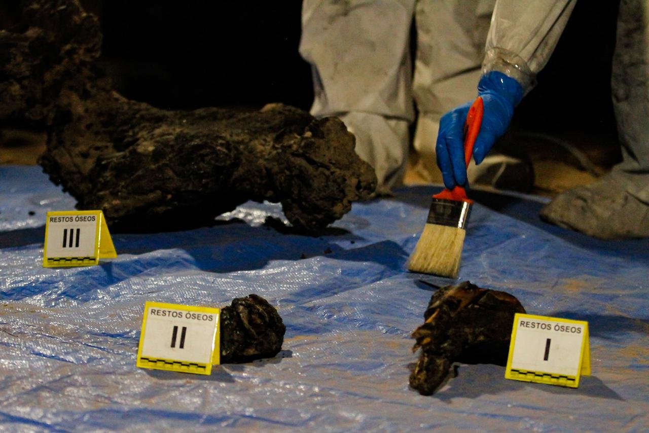 WhatsApp Image 2026-01-14 at 9.17.29999 PM