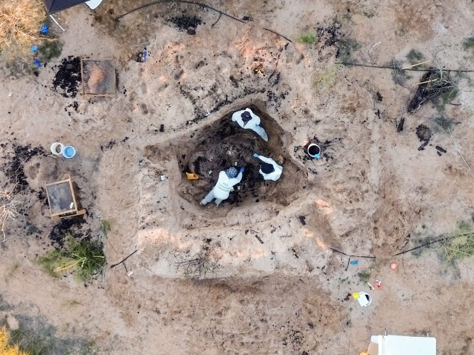 WhatsApp Image 2026-01-14 at 9.17.2999999 PM