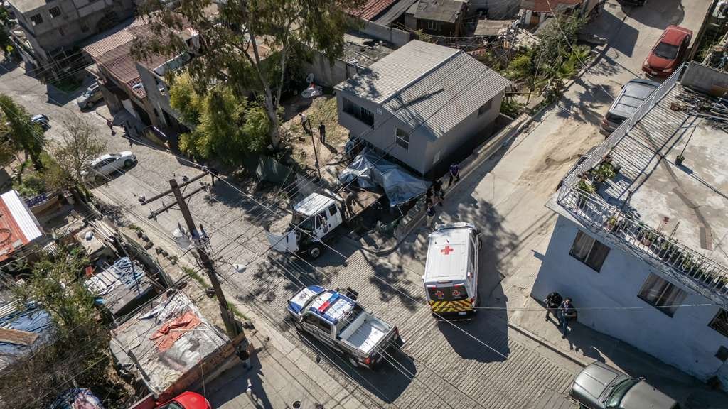 WhatsApp Image 2026-01-15 at 11.04.55 AM