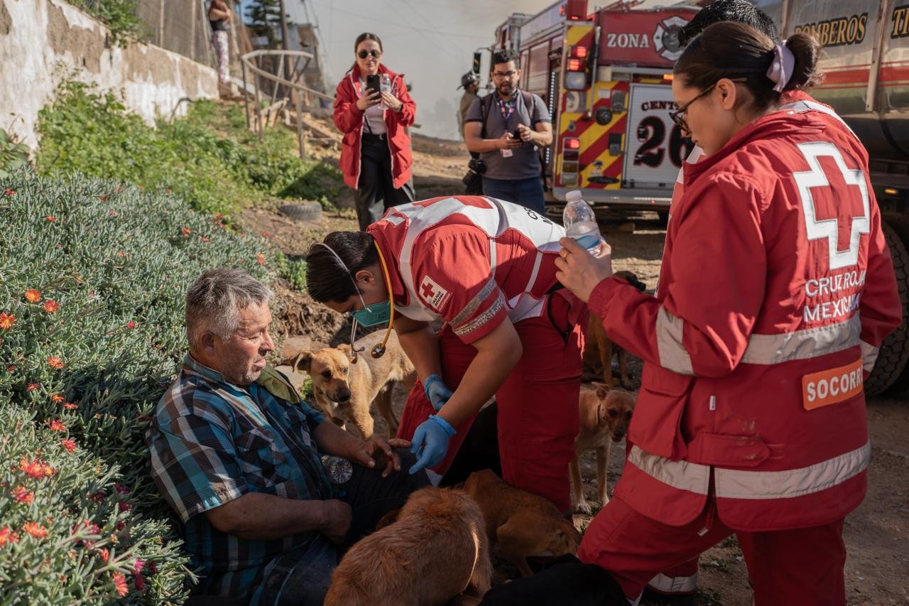 WhatsApp Image 2026-01-15 at 3.17.1999999 PM