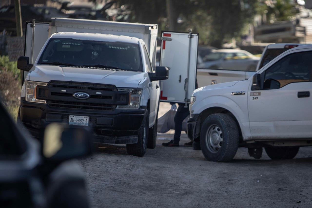 WhatsApp Image 2026-01-16 at 11.01.14 AM