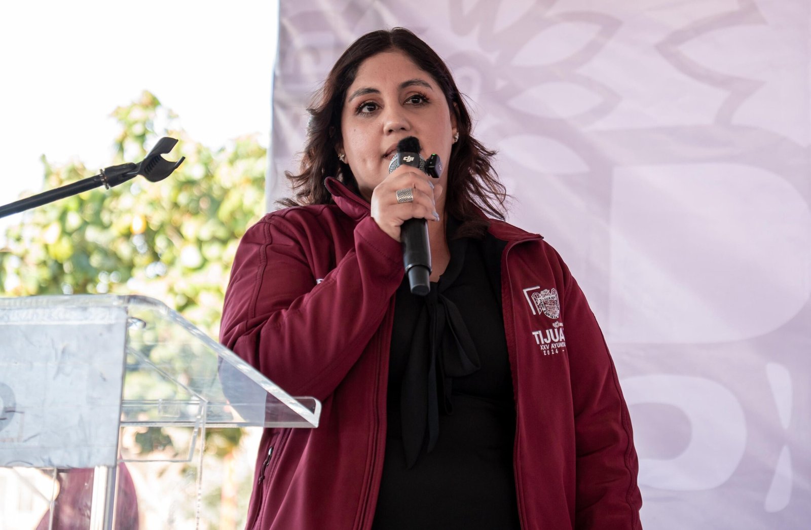 WhatsApp Image 2026-01-17 at 2.04.1555 PM