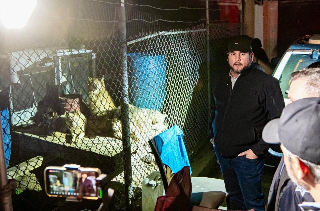 WhatsApp Image 2026-01-18 at 8.22.344 PM