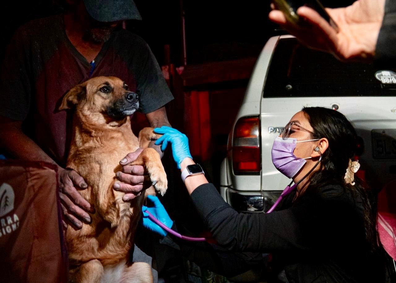 WhatsApp Image 2026-01-18 at 8.22.36 PM