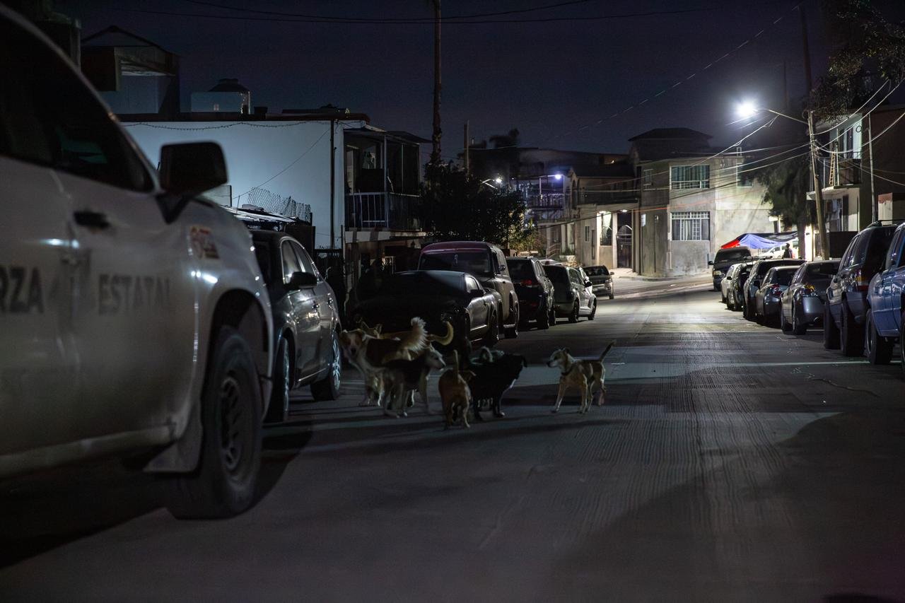 WhatsApp Image 2026-01-19 at 7.58.177 AM