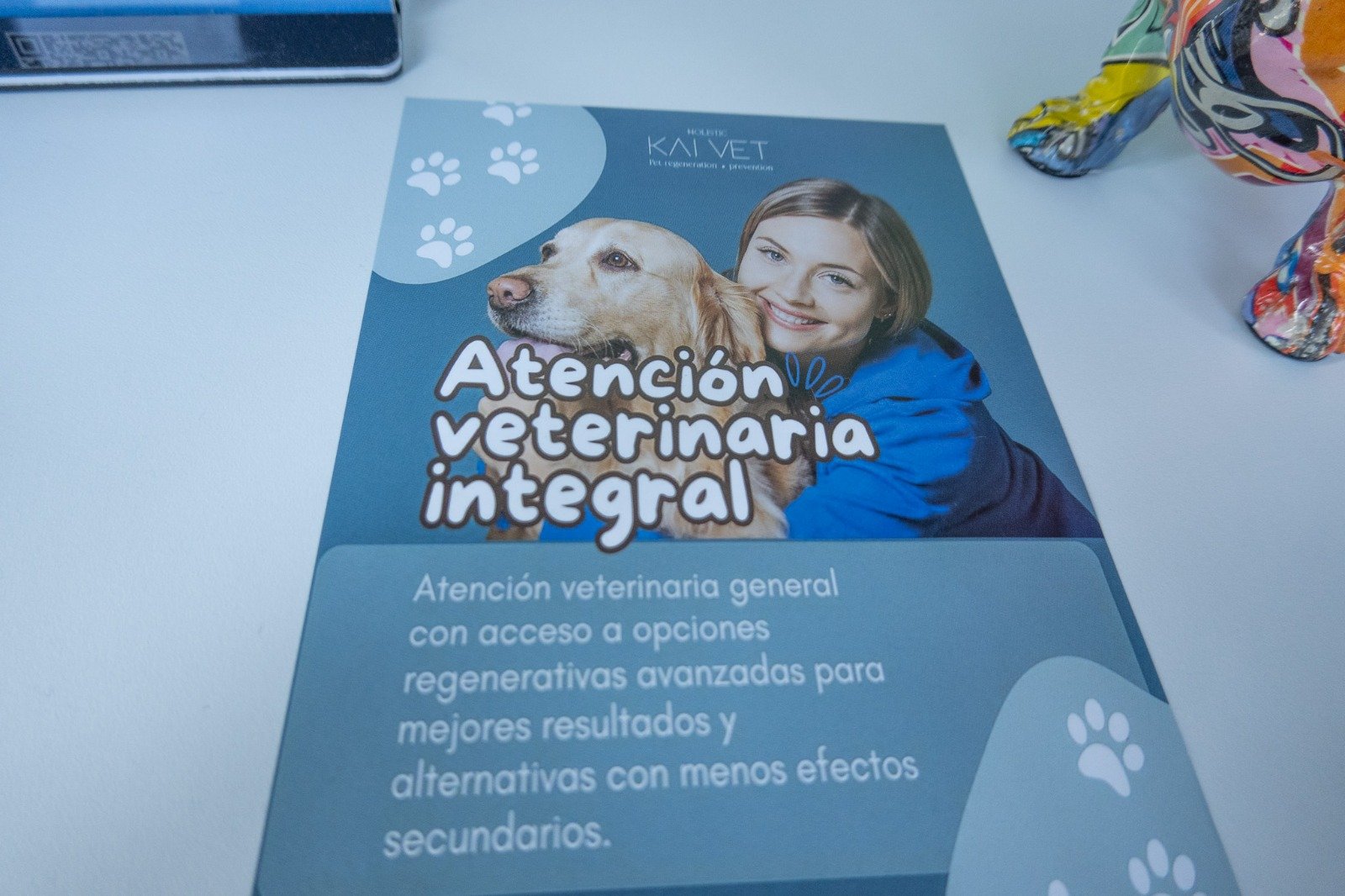 WhatsApp Image 2026-01-20 at 2.20.24 PM (1)