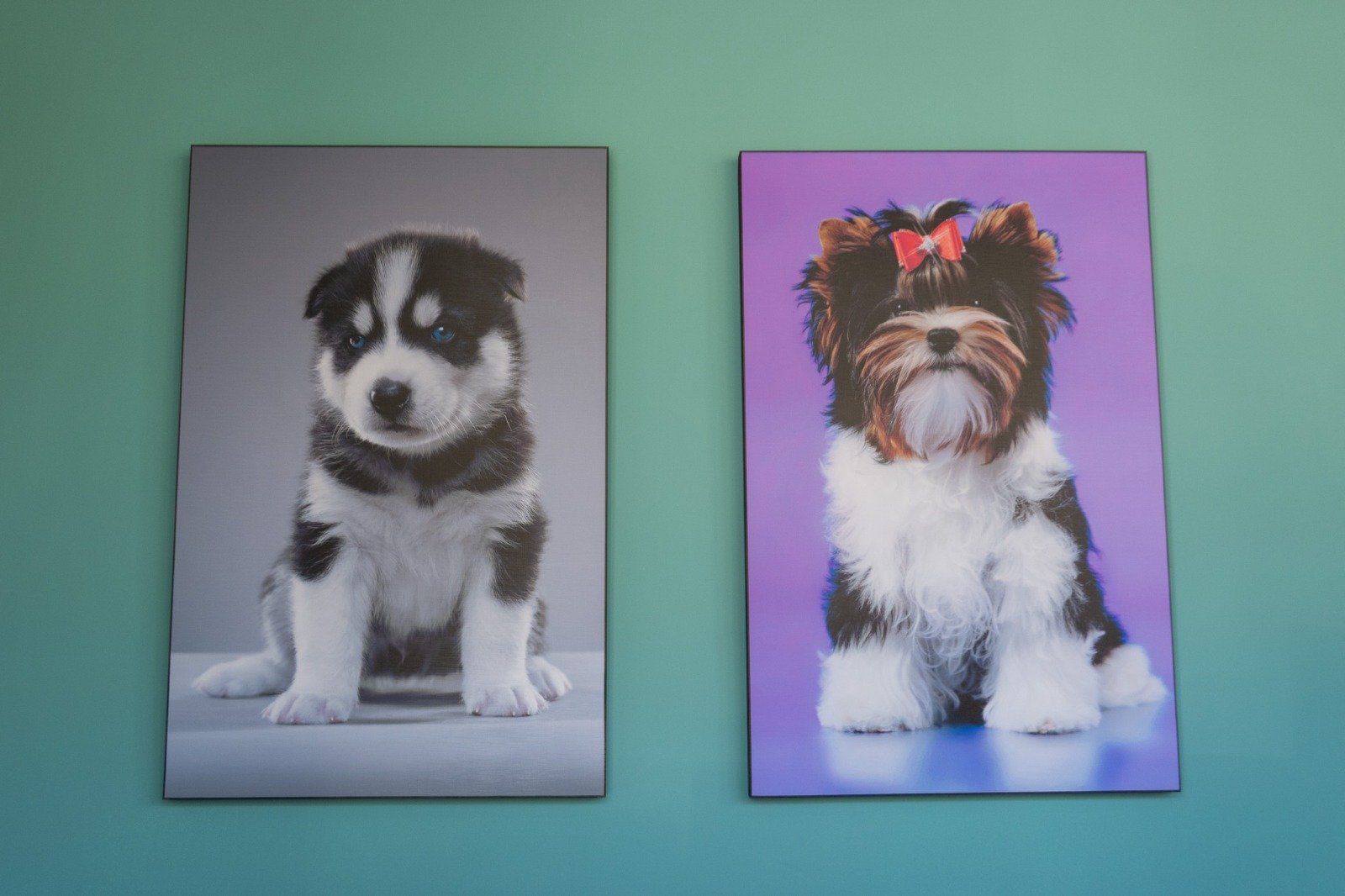 WhatsApp Image 2026-01-20 at 2.20.24 PM