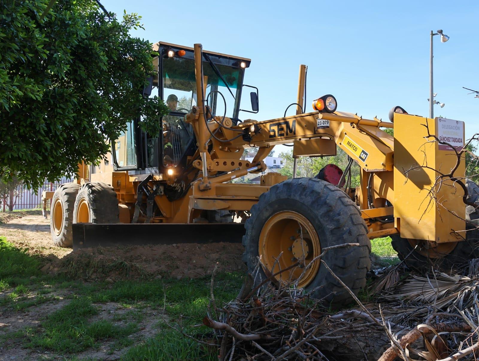 WhatsApp Image 2026-01-20 at 3.13.40 PM (1)