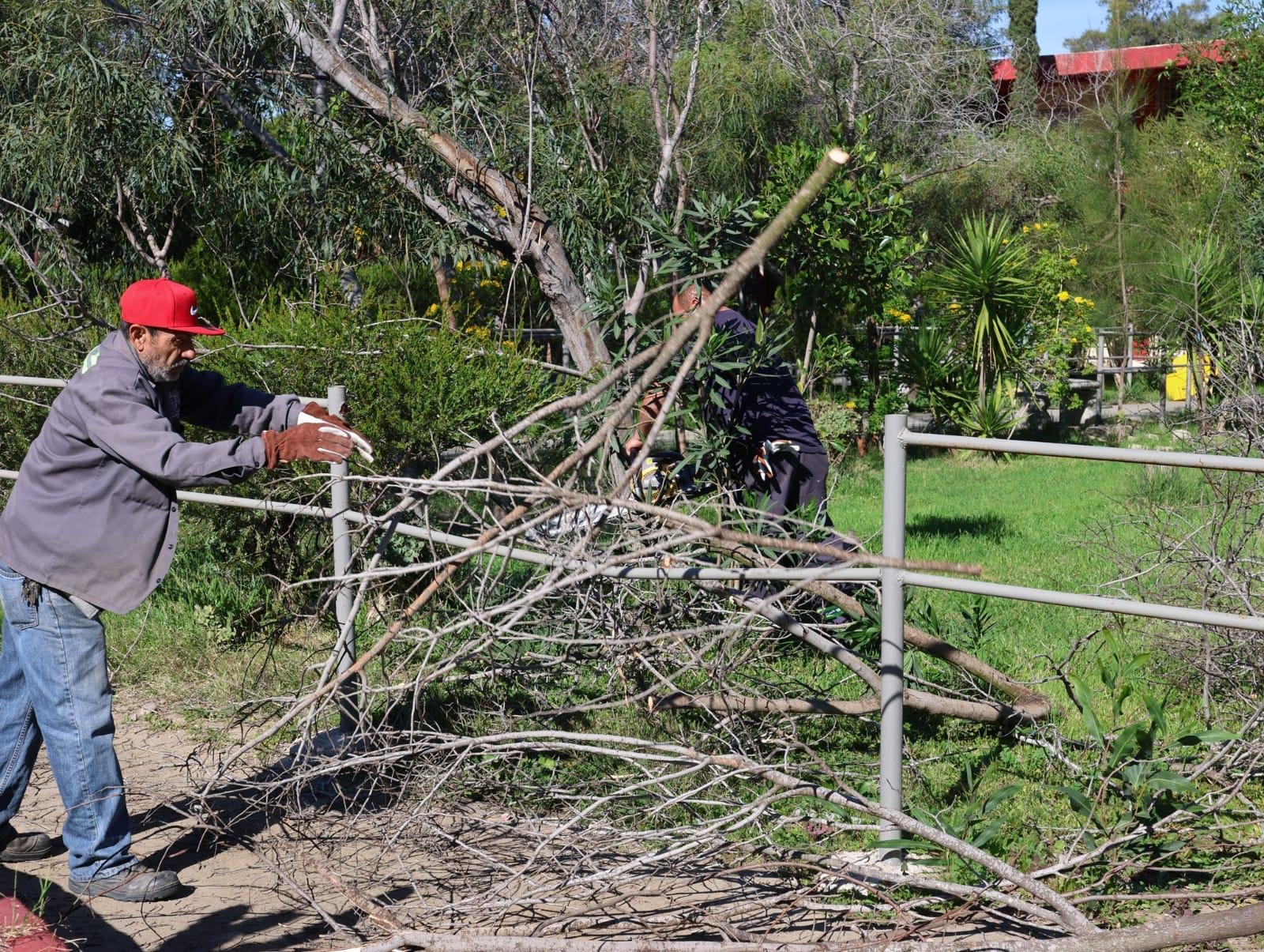 WhatsApp Image 2026-01-20 at 3.13.41 PM (1)