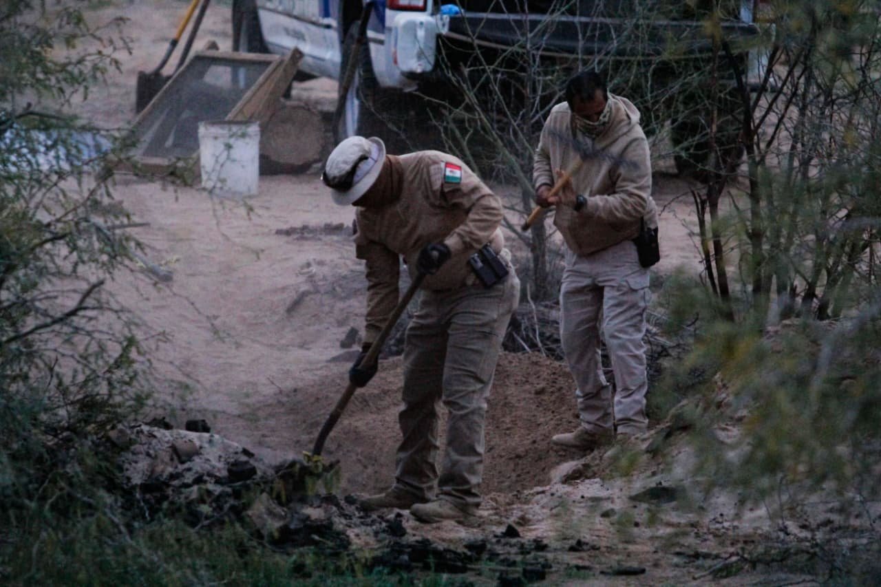 WhatsApp Image 2026-01-22 at 12.01.15 PM