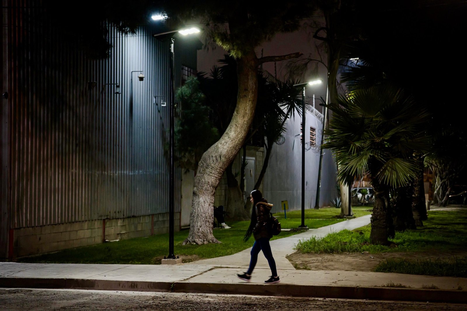 WhatsApp Image 2026-01-23 at 4.08.29 PM (1)