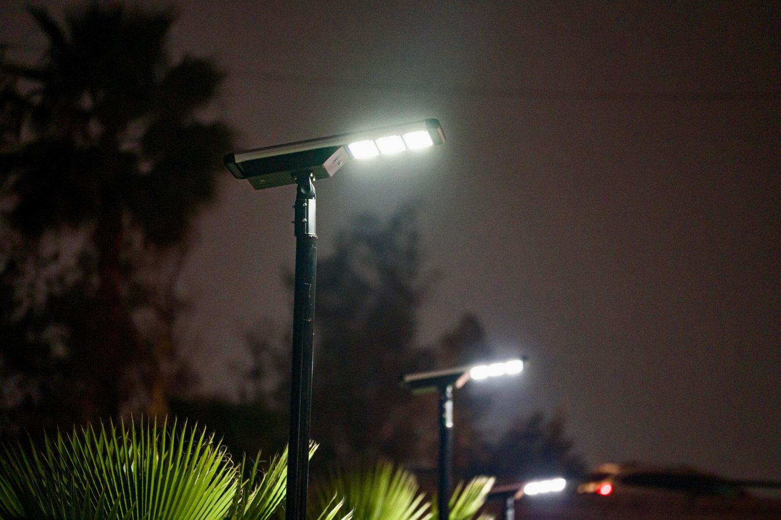 WhatsApp Image 2026-01-23 at 4.08.30 PM (1)