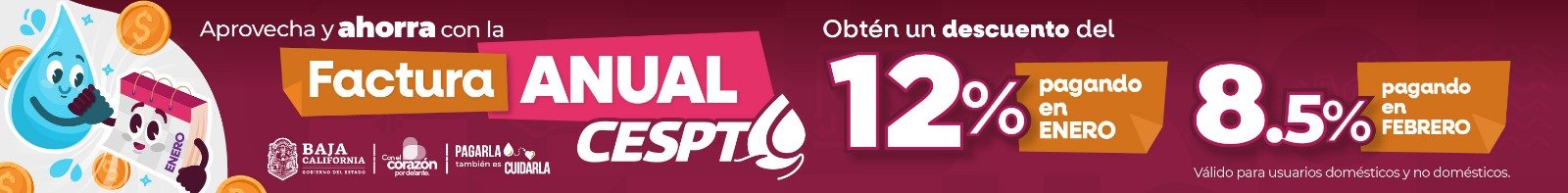 WhatsApp Image 2026-01-26 at 12.14.29 PM