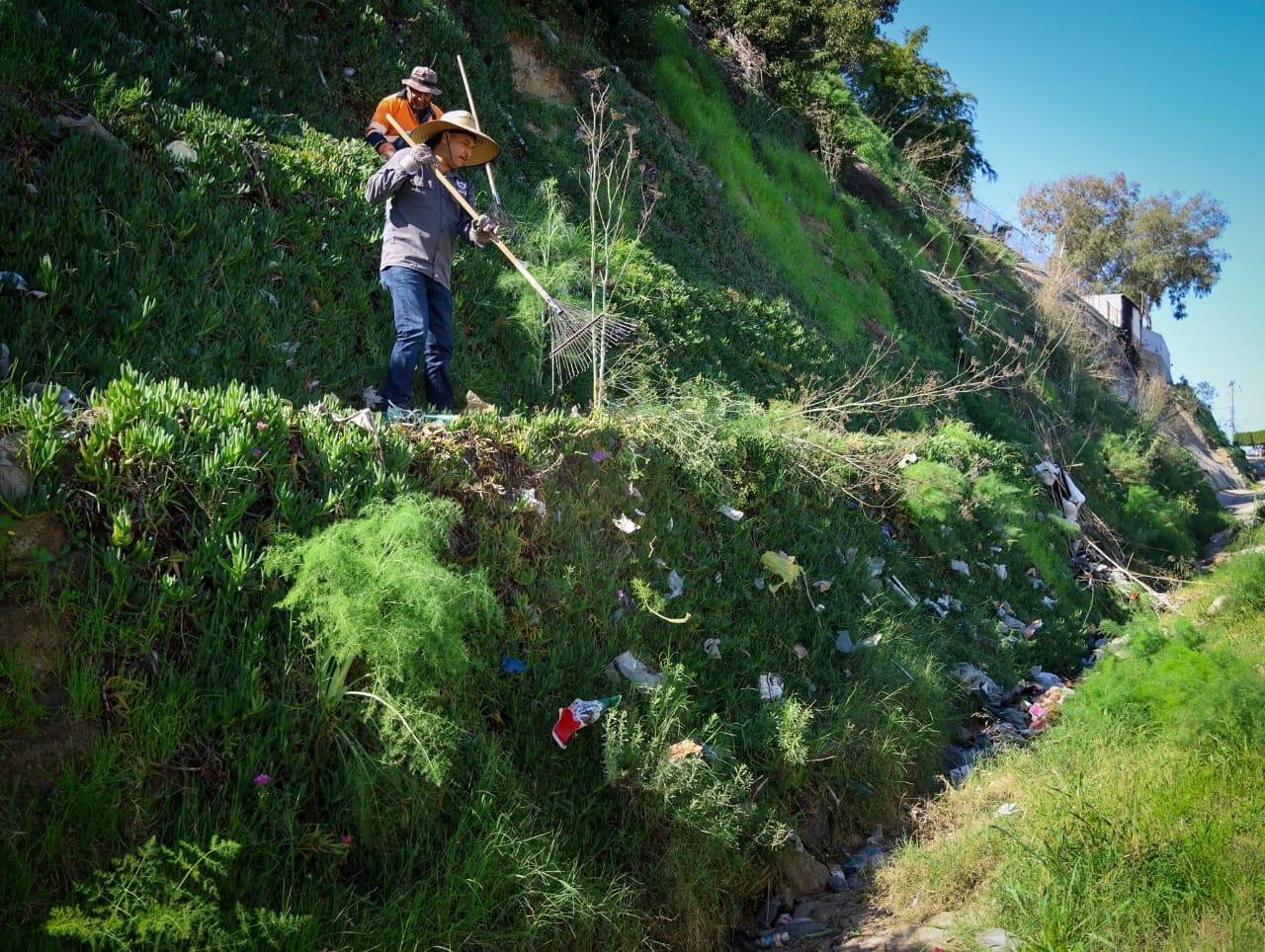 WhatsApp Image 2026-01-27 at 1.39.56 PM