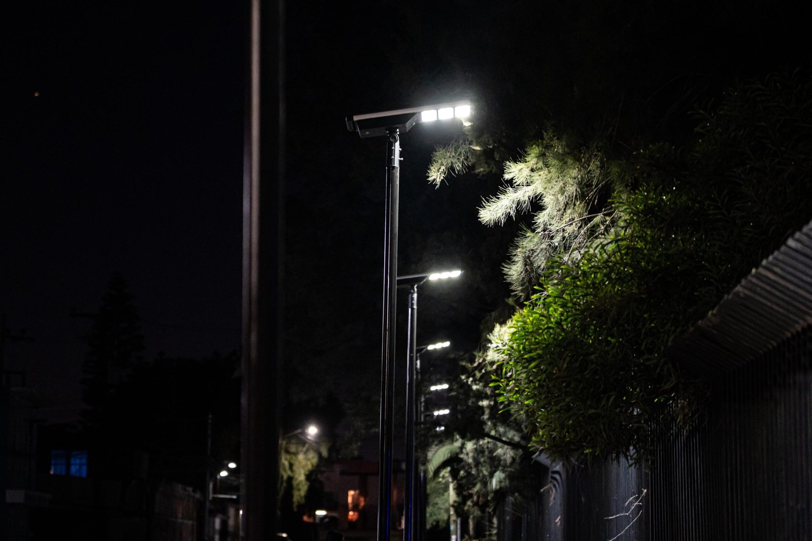 WhatsApp Image 2026-01-28 at 1.19.18 PM