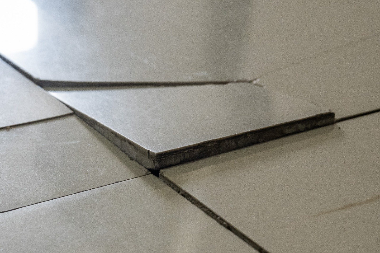 WhatsApp Image 2026-01-28 at 1.42.55 PM (2)