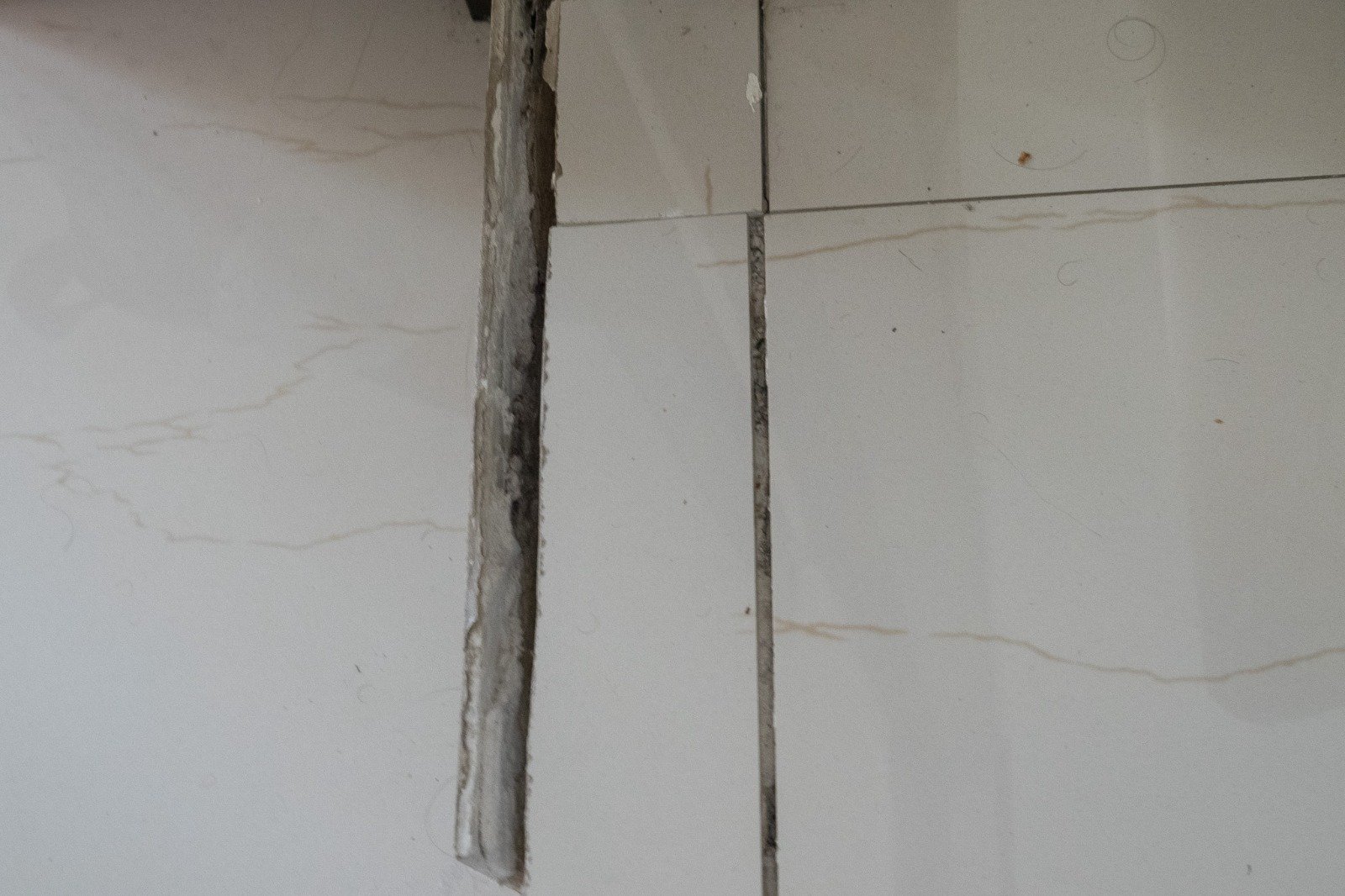 WhatsApp Image 2026-01-28 at 1.42.55 PM