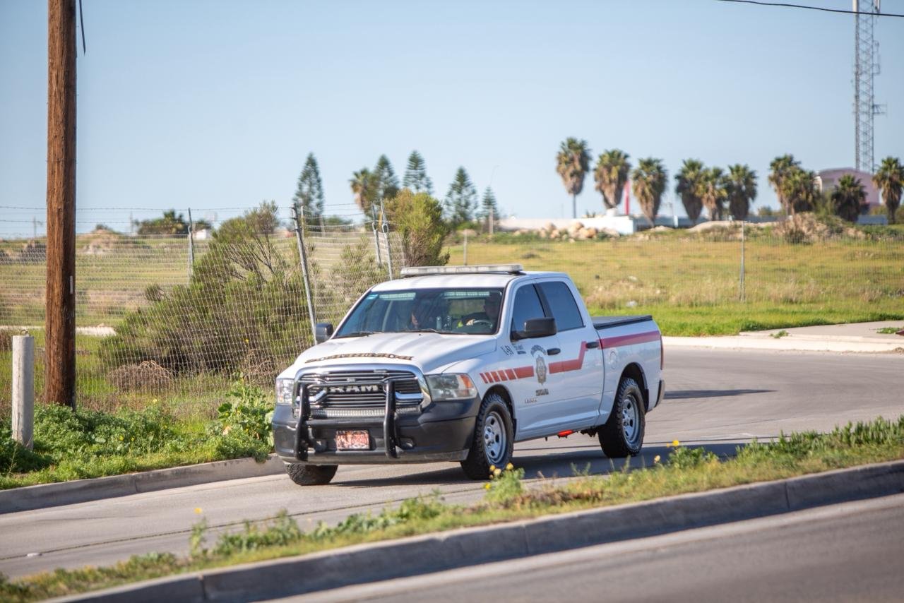 WhatsApp Image 2026-01-29 at 2.35.37 PM